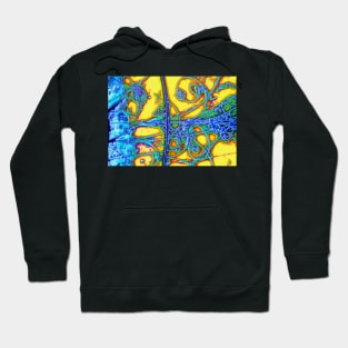 Particle tracks (A138/0006) Hoodie